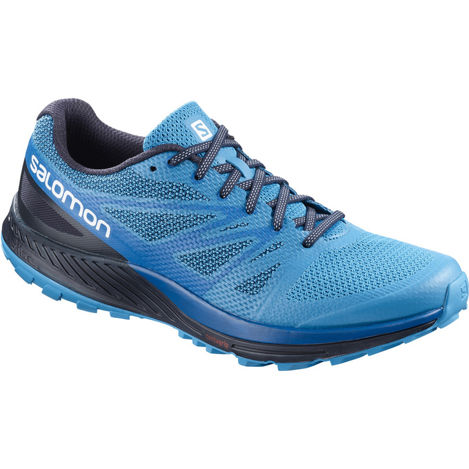 Chaussures De Trail Running Salomon Homme Bleu / Bleu Marine - Salomon SENSE ESE - France (7254-SWMQ